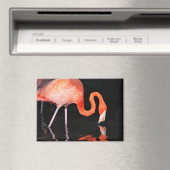 Aimant de réfrigérateur Flamant rose (In Situ (Lave-vaisselle))