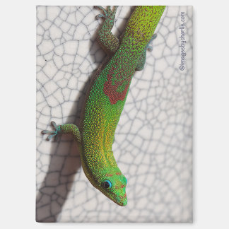 Aimant de réfrigérateur Gecko de jour poussière d'