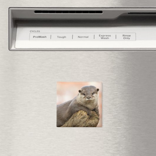 Aimant de réfrigérateur Otter (In Situ (Lave-vaisselle))