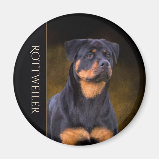 Aimant de réfrigérateur Rottweiler (Devant)