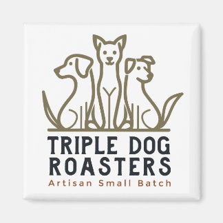 Aimant de réfrigérateur TDR