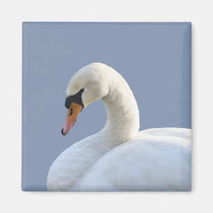 Aimant de réfrigération à cygne blanc