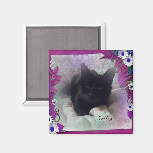 Aimant de réfrigération Taylor (Recto/Verso)