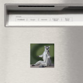 Aimant de refroidissement (In Situ (Lave-vaisselle))