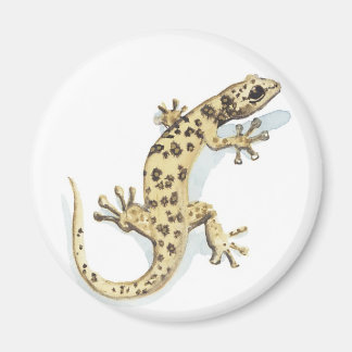 Aimant de reptile