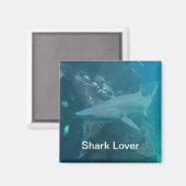 Aimant de requin (Recto/Verso)