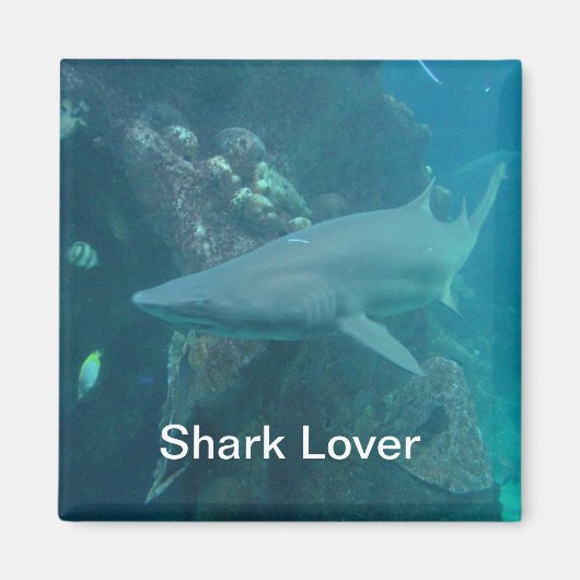 Aimant de requin (Devant)