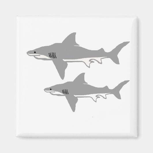 Aimant de requin taureau (Devant)