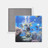 Aimant de réservoir de poisson (Recto/Verso)