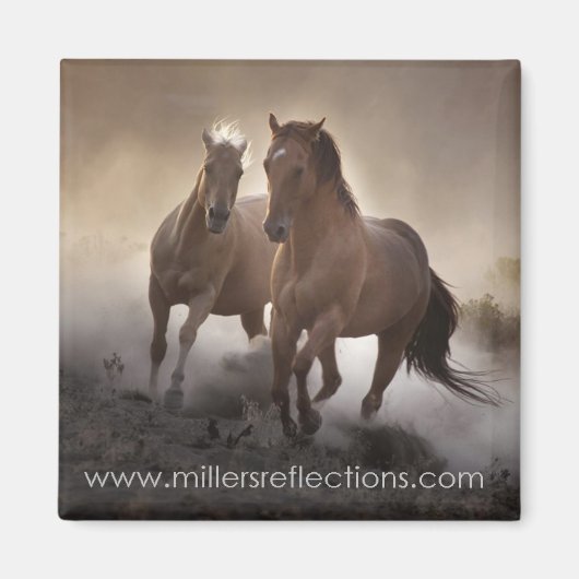 Aimant de résistance (Devant)