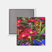 Aimant de ressort Iridescente (Recto/Verso)