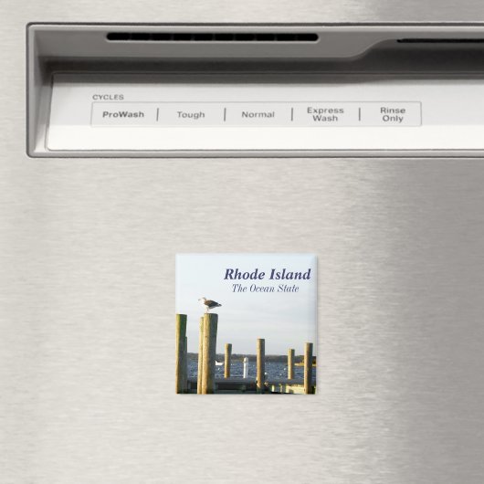 Aimant de Rhode Island (In Situ (Lave-vaisselle))