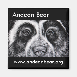 Aimant de Roger Manrique