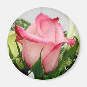 Aimant de rose de rose