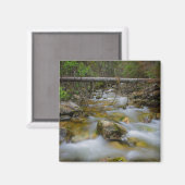 Aimant de ruisseau de la forêt rocheuse (Recto/Verso)