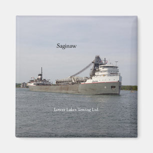 Aimant de Saginaw