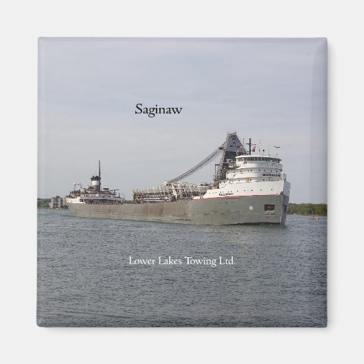 Aimant de Saginaw (Devant)