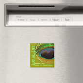 Aimant de sauvegarde de date de paon vert (In Situ (Lave-vaisselle))