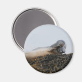 Aimant de sceau à frottement (Recto/Verso)