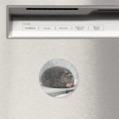 Aimant de sceau à mâcher (In Situ (Lave-vaisselle))