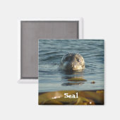 Aimant de scellement (Recto/Verso)