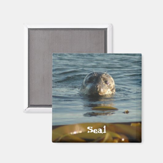 Aimant de scellement (Recto/Verso)