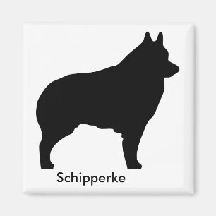 Aimant de Schipperke