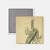 Aimant de scorpion (Recto/Verso)
