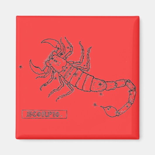 Aimant de scorpion (Devant)