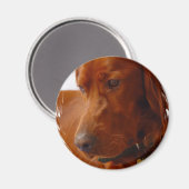 Aimant de Setter irlandais (Recto/Verso)