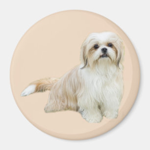 Aimant de Shih Tzu