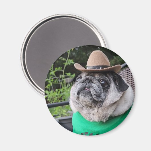 Aimant de sicles fermiers (Recto/Verso)