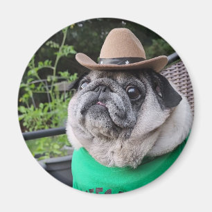 Aimant de sicles fermiers