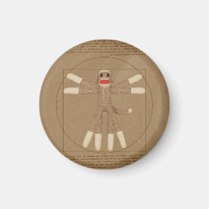 Aimant de singe de chaussette de Vitruvian
