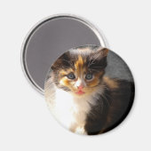 Aimant de skittles (Recto/Verso)