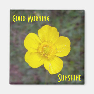 Aimant de soleil bonjour
