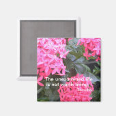 Aimant de soumission motivationnelle Socrates (Recto/Verso)