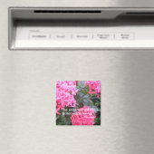 Aimant de soumission motivationnelle Socrates (In Situ (Lave-vaisselle))