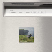 Aimant de souvenir des falaises de Moher, Irlande (In Situ (Lave-vaisselle))