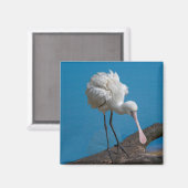 Aimant de spatule (Recto/Verso)