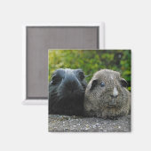 Aimant de Squee et de Scruffles (Recto/Verso)