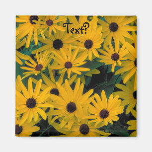 Aimant de Susans observé par noir doux
