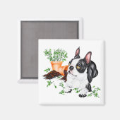 Aimant de terrier de Boston vilain chiot (Recto/Verso)