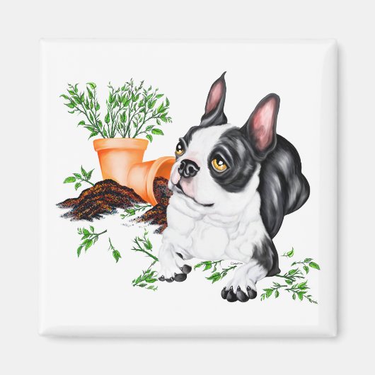 Aimant de terrier de Boston vilain chiot (Devant)