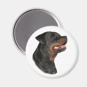 Aimant de tête de rototweiler (Recto/Verso)