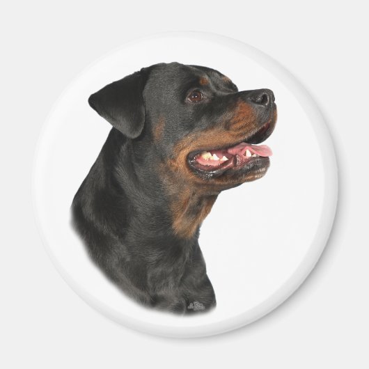 Aimant de tête de rototweiler (Devant)