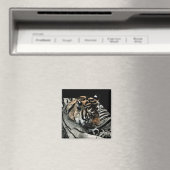 Aimant de tigre #2 - "Motifs dormant" (In Situ (Lave-vaisselle))