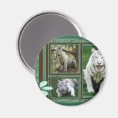 Aimant de tigre blanc (Recto/Verso)