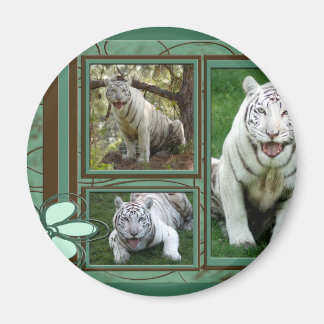 Aimant de tigre blanc
