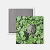 Aimant de tortue de bébé (Recto/Verso)